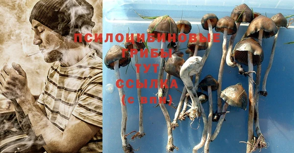 мяу мяу кристалл Инсар