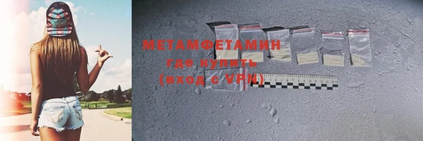 прущие грибы Инта