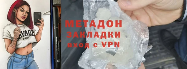 прущие грибы Инта