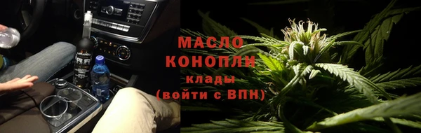 прущие грибы Инта