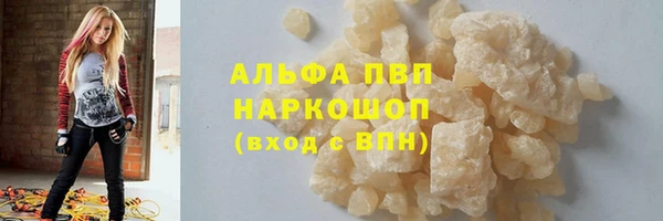 прущие грибы Инта