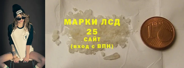 прущие грибы Инта