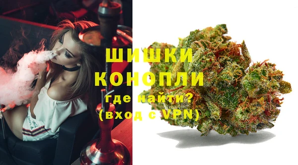 спиды Каменка