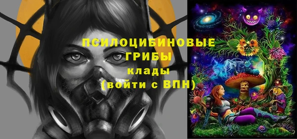 ГАЛЛЮЦИНОГЕННЫЕ ГРИБЫ Каменск-Шахтинский