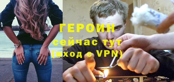 прущие грибы Инта